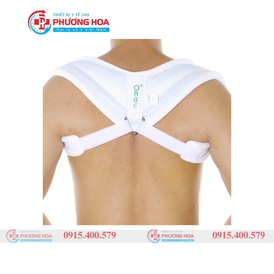 Đai số 8 H1